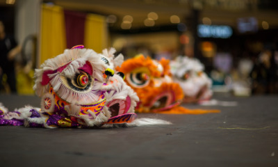 12025344433 96bcb34076 k