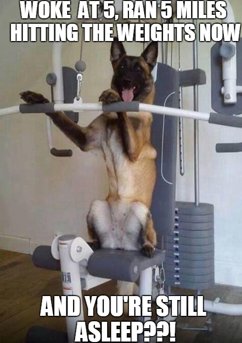Animalexercise