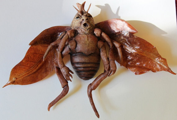Bettle Imp