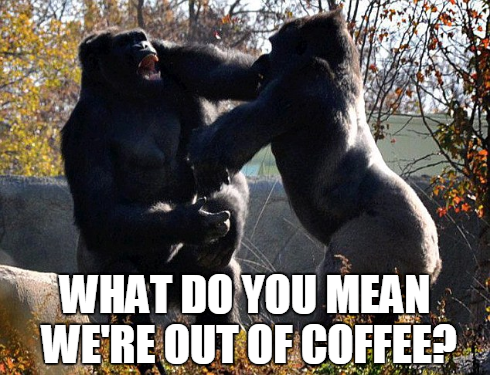 Coffee
