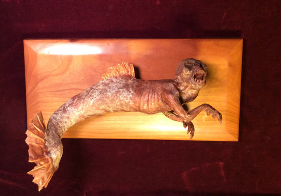 Fiji Mermaid