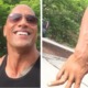 the rock