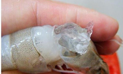 Gelatin-injected Prawn Reportedly Found In China Market - World Of Buzz 4