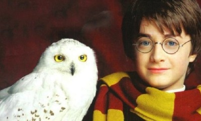 harry potter1