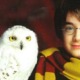 harry potter1