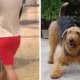 22 Year Old Girl Regrets Performing Sexual Acts With Dog To Please Lover From Craigslist - WORLD OF BUZZ