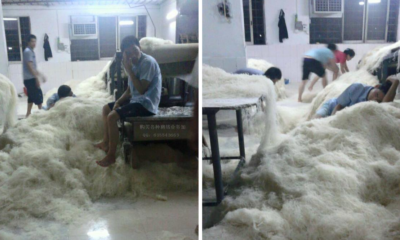 These Shocking Images of A Mee Hoon Factory Will Make You Never Eat Them Again - World Of Buzz
