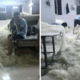 These Shocking Images of A Mee Hoon Factory Will Make You Never Eat Them Again - World Of Buzz