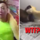 Shocking Video Shows Asian Man Feeding Adorable Puppy To His Pet Python - World Of Buzz 2