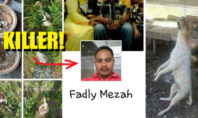 Sick Malaysian Hangs Dog To Death And Posts The Act on Facebook - World Of Buzz