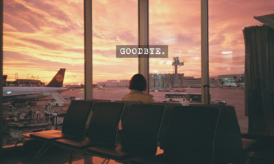 "It was the most sincere kiss I saw than in any wedding halls, the most painful good bye ever" - World Of Buzz 1