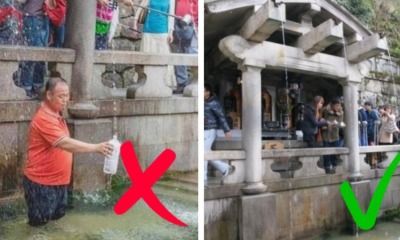 Auto Draft - World Of Buzz 340