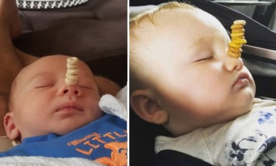 Dads all around the world competing who can balance the most cheerios on their sleeping todds - World Of Buzz 8