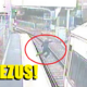 Girl Jumps In Front of Oncoming Train To Retrieve Dropped Phone - World Of Buzz 3