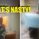 Hidden Camera Captures the Shocking Moment Maid Pours Urine in Boss's Juice - World Of Buzz 1
