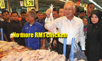 Chicken Prices Go Up to RM30 Per Head During Raya Season - World Of Buzz