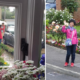 English People Are Shocked as Asian Tourists Take Pictures In Front of Their Homes - World Of Buzz 5