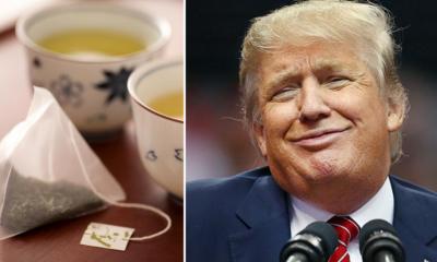 Indian Firm Gifts Trump 6,000 Tea Bags, Hopes It'll Cleanse His Soul - World Of Buzz 3