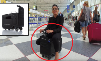 Modobag: Where Your Luggage Can Carry You to Your Boarding Gate and Charge Your Gadgets - World Of Buzz