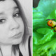 Epic Customer Service by Tesco to lady who found a Caterpillar in her Lettuce - World Of Buzz 8