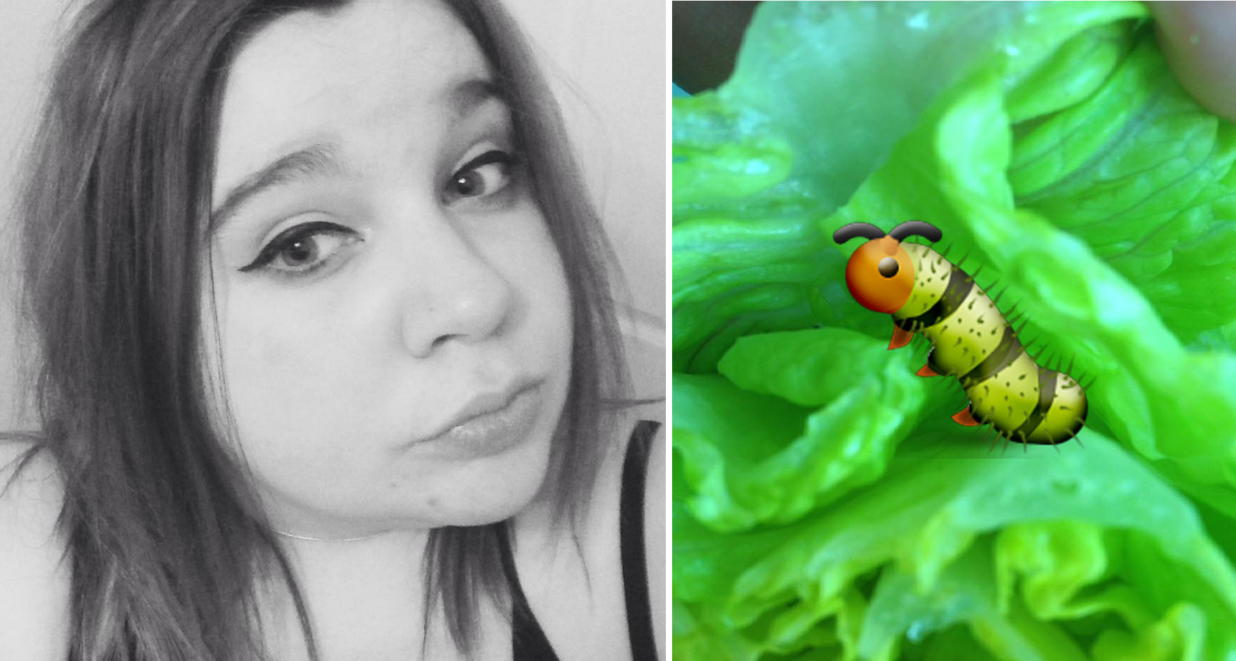 Epic Customer Service by Tesco to lady who found a Caterpillar in her Lettuce - World Of Buzz 8