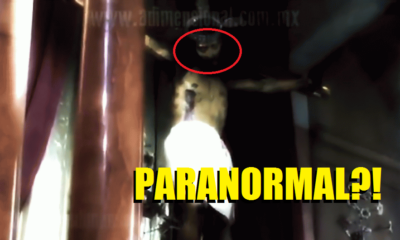 Jesus statue that opened it's eyes causes stir: Miracle or Otherwise - World Of Buzz 6