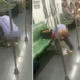 Man Takes a Dump on the Train Floor, Shockingly No One Else Seemed to Mind - World Of Buzz 4