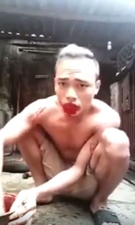Dog-5