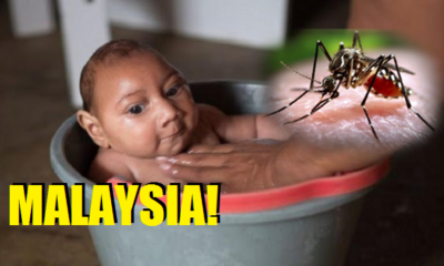 Beware Everyone As First Suspected Zika Case Reported in Malaysian Shores! - World Of Buzz 3