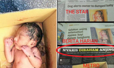Comparison of Three Local Newspapers Covering the Same Story Shocks Malaysians - World Of Buzz