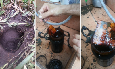 Couple Were Gardening When They Found Something Super Eerie - World Of Buzz
