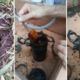Couple Were Gardening When They Found Something Super Eerie - World Of Buzz
