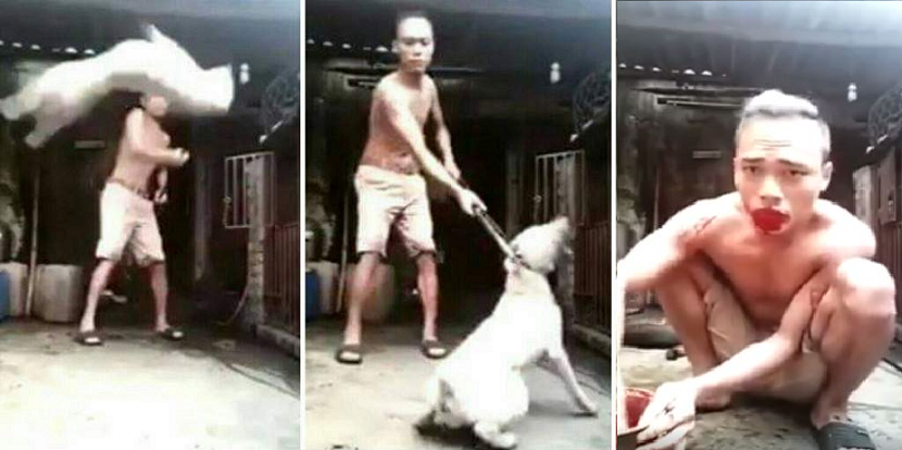 Evil Man Abuses Dogs Then Does One Of The Most Disgusting Things Ever! - World Of Buzz 1