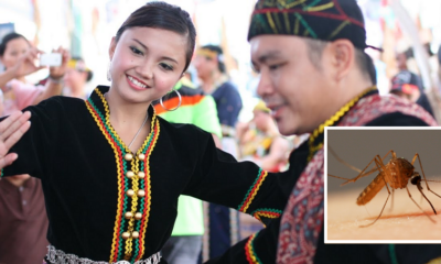 Sabahans May Be Immune To the Zika Virus That's Terrorizing the World Right Now - World Of Buzz