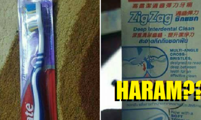 Toothbrushes Are Not Halal Because They Are Made From Pig's Hair, According To A Genius - World Of Buzz 3