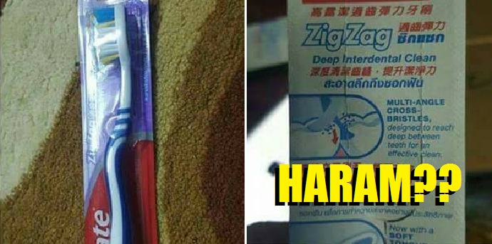 Toothbrushes Are Not Halal Because They Are Made From Pig's Hair, According To A Genius - World Of Buzz 3
