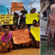 War In Malaysia! Orang Asli Activists Fight Loggers Who Invade Their "Ancestral Land" - World Of Buzz 8
