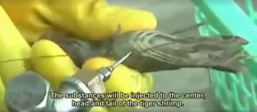 Prawn-5