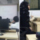 Cat Randomly Joins A Class in Malaysian University and It Quickly Went Viral - World Of Buzz 3