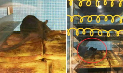 Famous Bakery In Mid Valley Causes Outrage Among Netizens When Pictures Of Rat On Their Bread Goes Viral - World Of Buzz