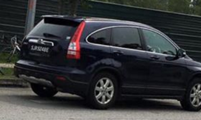 Heartless Singaporean Woman Runs Dog Over And Tells Owner "F*ck You" - World Of Buzz 1