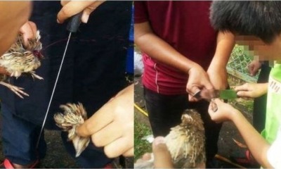 'Islamic Slaughter Lesson' In A Malaysian Primary School Traumatises Kids And Shocks Parents! - World Of Buzz