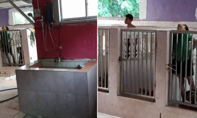 Malaysian Girl Discovers Shocking Scene of Disabled Kids Locked Up in Cages Like Dogs - World Of Buzz