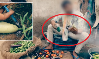 Outrageous Video Shows How Indian Farmers Dye And Inject Vegetables To Make Them Look 'Bigger And Fresher' - World Of Buzz 7