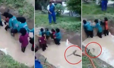 ViPrimary School Girls Forced To Swim Through Snake Infested Pond As Part Of Camp Acitvity - World Of Buzz