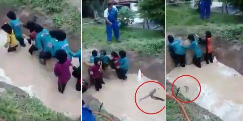 ViPrimary School Girls Forced To Swim Through Snake Infested Pond As Part Of Camp Acitvity - World Of Buzz