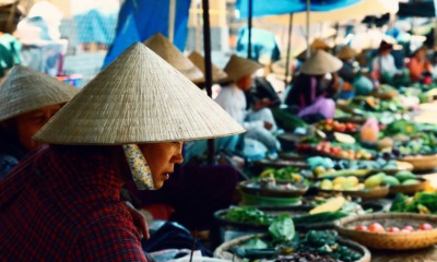9 Places You Must Visit in Vietnam for an Unforgettable Experience - World Of Buzz 9