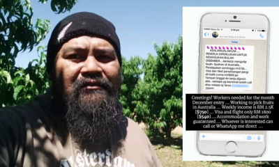 Australian Farms Use Illegal Immigrant Workers, Many Malaysians Usually Hired - World Of Buzz 7
