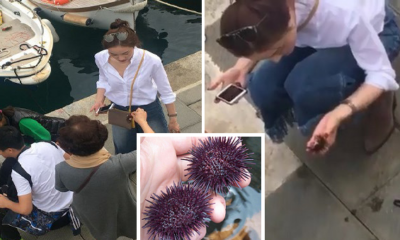 Chinese Tourists Caught Stealing Marine Animals From A Sleepy Fishing Village - World Of Buzz 7