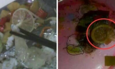 Condoms Found In School Cafeteria Food - World Of Buzz